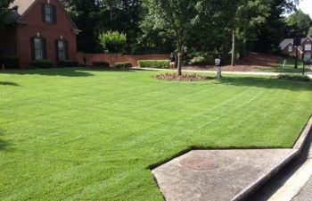 a manicured lawn maintained by Pannone’s Lawn Pros & Landscaping