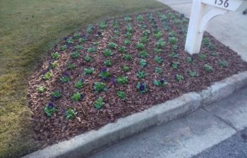 seasonal plants installed by Pannone’s Lawn Pros & Landscaping