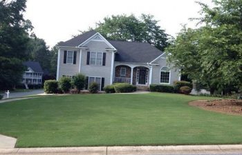 a manicured lawn maintained by Pannone’s Lawn Pros & Landscaping