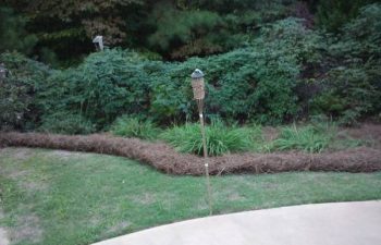 pinestraw installed by Pannone’s Lawn Pros & Landscaping