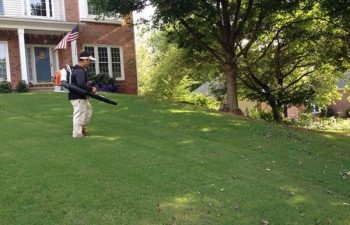 Pannone’s Lawn Pros & Landscaping professional cleaning up leaves from the lawn