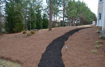 mulch pinestraw installed by Pannone’s Lawn Pros & Landscaping