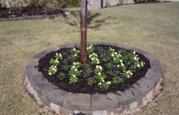 seasonal flowers planted by Pannone’s Lawn Pros & Landscaping