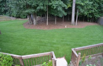 yard after new sod installation performed by Pannone’s Lawn Pros & Landscaping