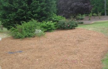 yard before new plant installation performed by Pannone’s Lawn Pros & Landscaping