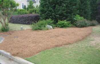 yard before new plant installation performed by Pannone’s Lawn Pros & Landscaping