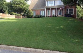 a manicured lawn maintained by Pannone’s Lawn Pros & Landscaping