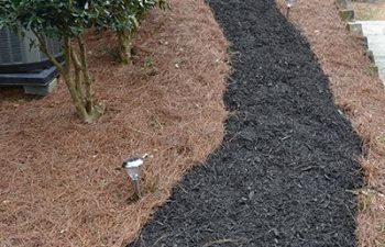 mulch pinestraw installed by Pannone’s Lawn Pros & Landscaping