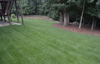 yard after new sod installation performed by Pannone’s Lawn Pros & Landscaping