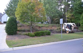 front yard before new plant installation