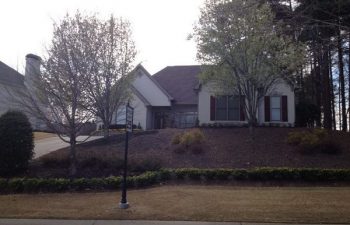 yard after new plant installation performed by Pannone’s Lawn Pros & Landscaping