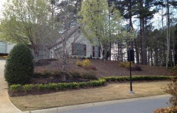 yard after new plant installation performed by Pannone’s Lawn Pros & Landscaping