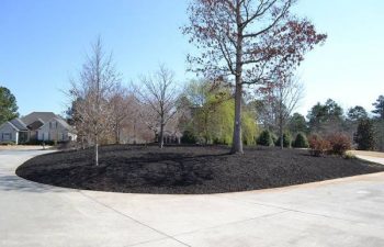mulch pinestraw installed by Pannone’s Lawn Pros & Landscaping
