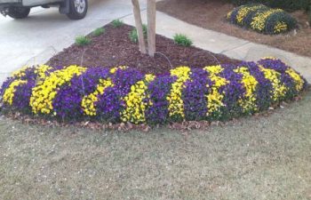 seasonal flowers planted by Pannone’s Lawn Pros & Landscaping