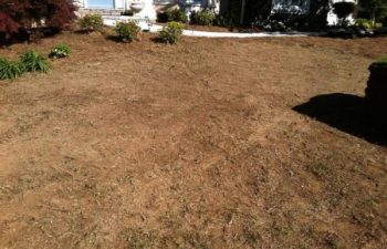 yard before sod installation