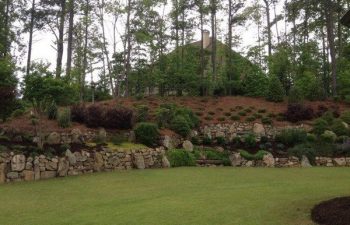 yard after new plant installation performed by Pannone’s Lawn Pros & Landscaping