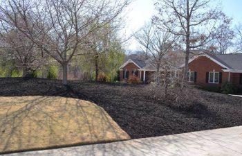 mulch pinestraw installed by Pannone’s Lawn Pros & Landscaping