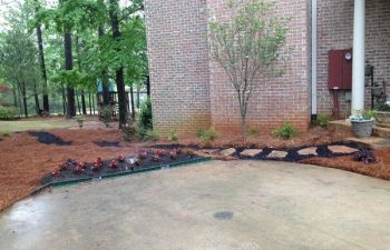 yard after new plant installation performed by Pannone’s Lawn Pros & Landscaping