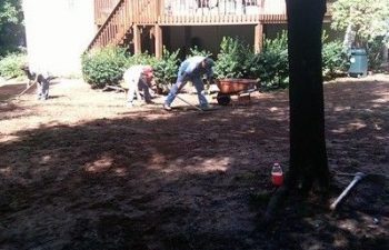 yard being prepared for new sod installation by Pannone’s Lawn Pros & Landscaping