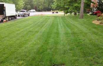 a manicured lawn maintained by Pannone’s Lawn Pros & Landscaping