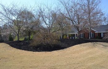 mulch pinestraw installed by Pannone’s Lawn Pros & Landscaping