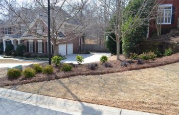 front yard after new plant installation performed by Pannone’s Lawn Pros & Landscaping