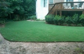 yard after new sod installation performed by Pannone’s Lawn Pros & Landscaping