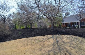 mulch pinestraw installed by Pannone’s Lawn Pros & Landscaping