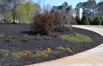 mulch pinestraw installed by Pannone’s Lawn Pros & Landscaping