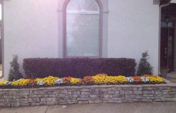 seasonal flowers planted by Pannone’s Lawn Pros & Landscaping