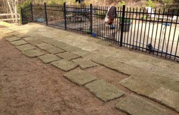yard being prepared for new sod installation by Pannone’s Lawn Pros & Landscaping