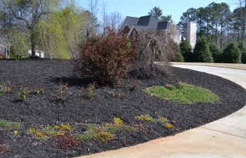 landscaped front yard