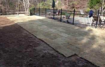 sod installation