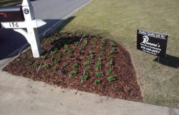 seasonal plants installed by Pannone’s Lawn Pros & Landscaping