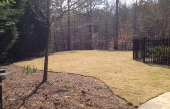 yard after new sod installation performed by Pannone’s Lawn Pros & Landscaping