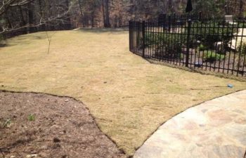 yard after new sod installation performed by Pannone’s Lawn Pros & Landscaping