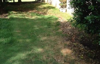 yard before dry creek bed installation by Pannone’s Lawn Pros & Landscaping