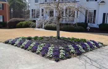 seasonal flowers planted by Pannone’s Lawn Pros & Landscaping
