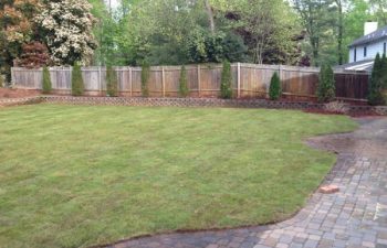 yard after new sod installation performed by Pannone’s Lawn Pros & Landscaping