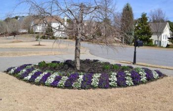 seasonal flowers planted by Pannone’s Lawn Pros & Landscaping