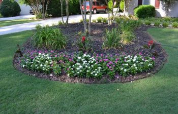 seasonal flowers planted by Pannone’s Lawn Pros & Landscaping