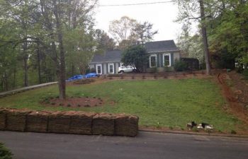 yard after new sod installation performed by Pannone’s Lawn Pros & Landscaping