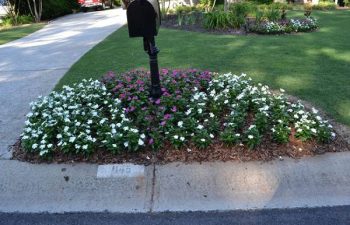 seasonal flowers planted by Pannone’s Lawn Pros & Landscaping