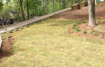 new sod being installed