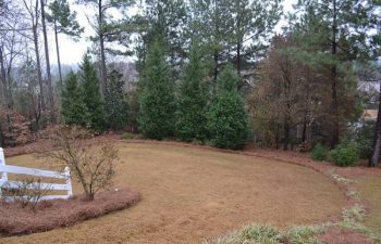 mulch installed by Pannone’s Lawn Pros & Landscaping