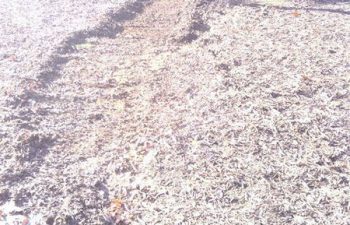 preparing ground for dry creek bed installation