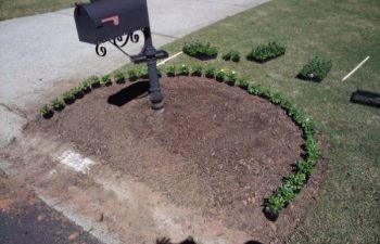 seasonal plants installed by Pannone’s Lawn Pros & Landscaping
