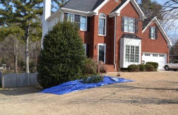 yard clean up service being performed by Pannone’s Lawn Pros & Landscaping