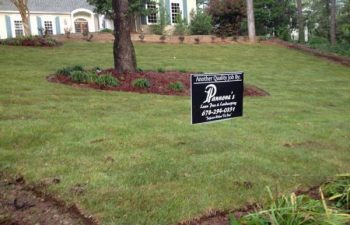 yard after new sod installation performed by Pannone’s Lawn Pros & Landscaping