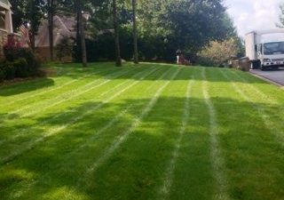 a manicured lawn maintained by Pannone’s Lawn Pros & Landscaping